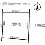 概略地形図
